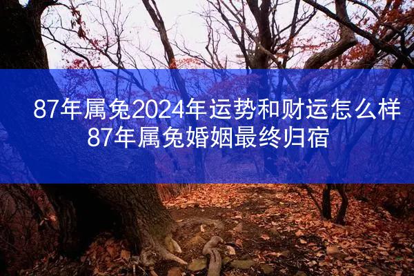 87年属兔2024年运势和财运怎么样 87年属兔婚姻最终归宿