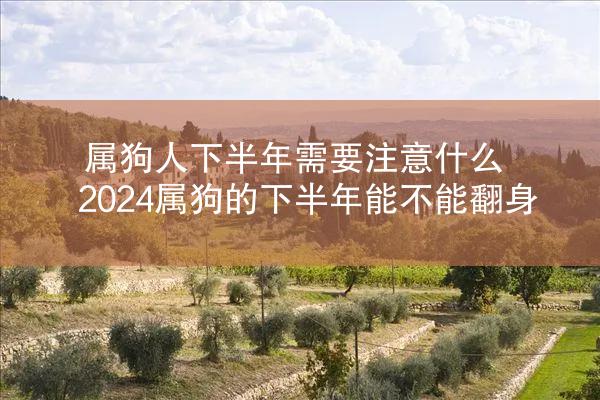 属狗人下半年需要注意什么 2024属狗的下半年能不能翻身