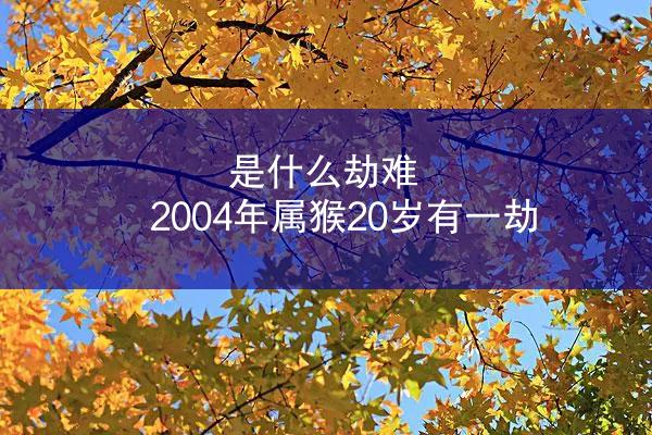 是什么劫难 2004年属猴20岁有一劫