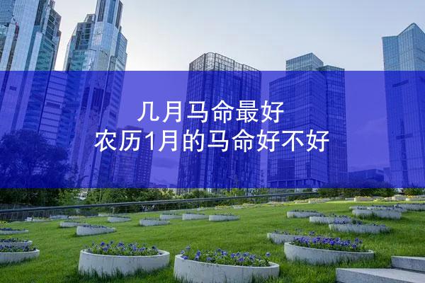 几月马命最好 农历1月的马命好不好