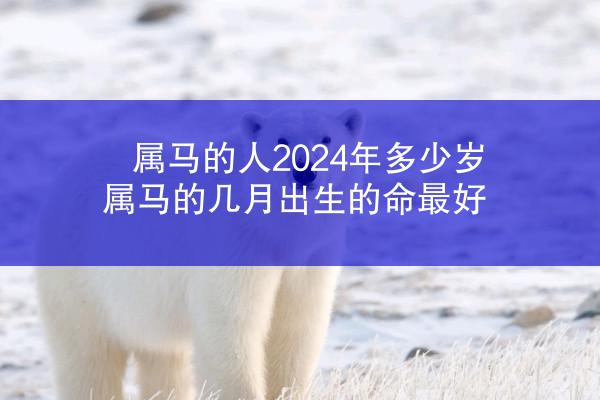 属马的人2024年多少岁 属马的几月出生的命最好