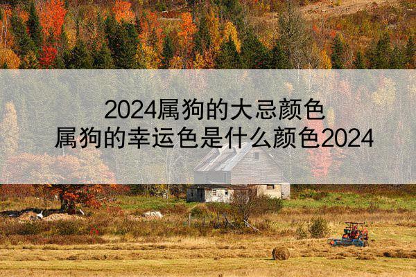 2024属狗的大忌颜色 属狗的幸运色是什么颜色2024