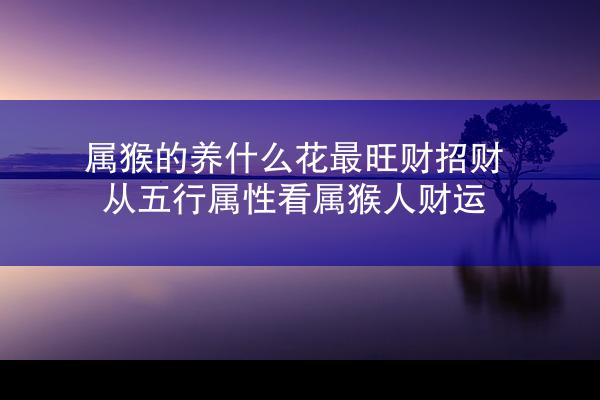属猴的养什么花最旺财招财 从五行属性看属猴人财运
