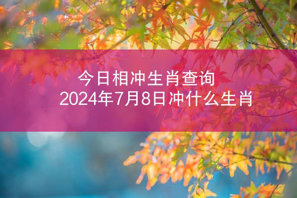 今日相冲生肖查询 2024年7月8日冲什么生肖