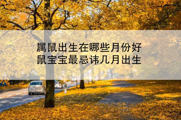 属鼠出生在哪些月份好 鼠宝宝最忌讳几月出生