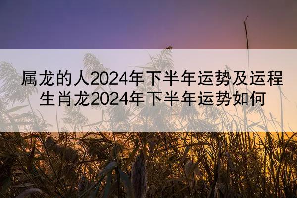 属龙的人2024年下半年运势及运程 生肖龙2024年下半年运势如何