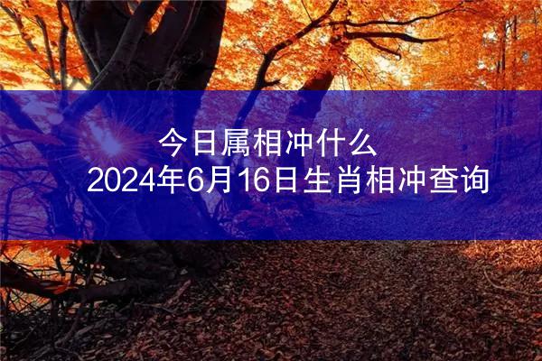今日属相冲什么 2024年6月16日生肖相冲查询