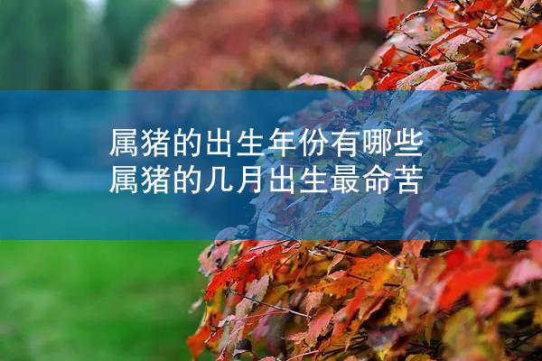 属猪的出生年份有哪些 属猪的几月出生最命苦