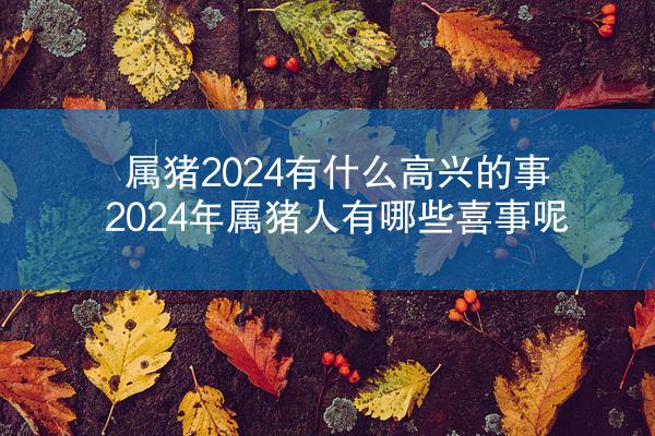 属猪2024有什么高兴的事 2024年属猪人有哪些喜事呢
