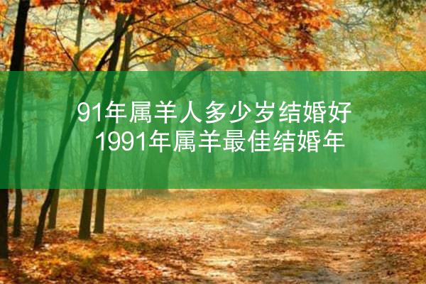 91年属羊人多少岁结婚好 1991年属羊最佳结婚年