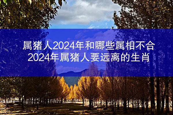 属猪人2024年和哪些属相不合 2024年属猪人要远离的生肖