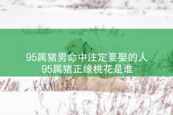  95属猪男命中注定要娶的人 95属猪正缘桃花是谁
