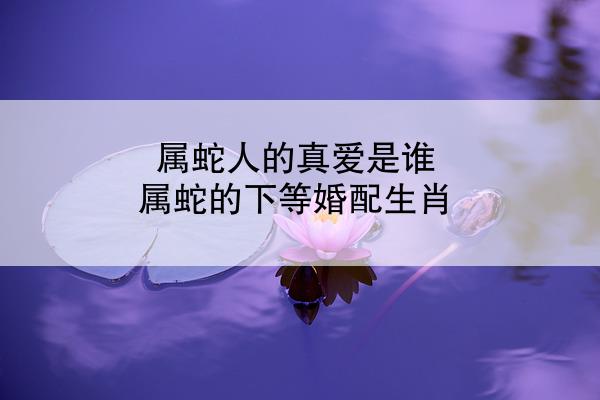 属蛇人的真爱是谁 属蛇的下等婚配生肖