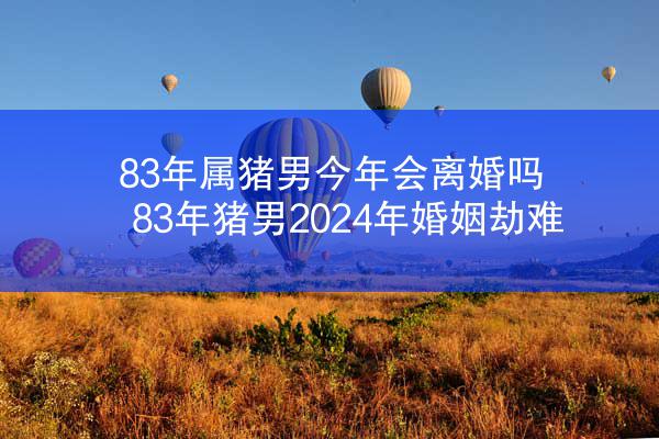 83年属猪男今年会离婚吗 83年猪男2024年婚姻劫难