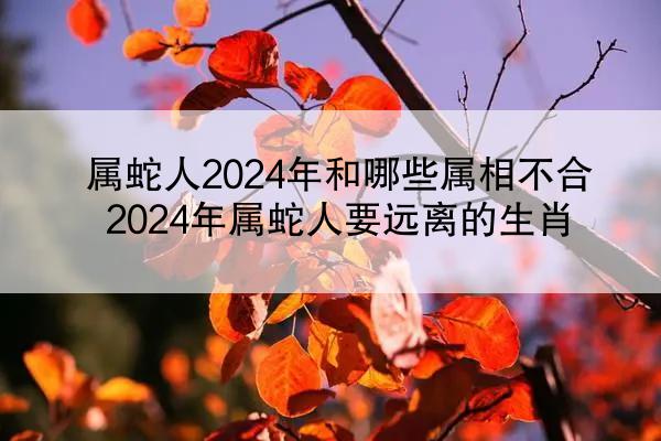 属蛇人2024年和哪些属相不合 2024年属蛇人要远离的生肖