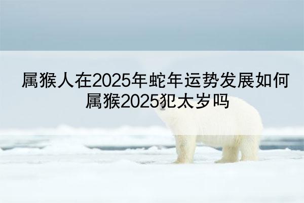 属猴人在2025年蛇年运势发展如何 属猴2025犯太岁吗