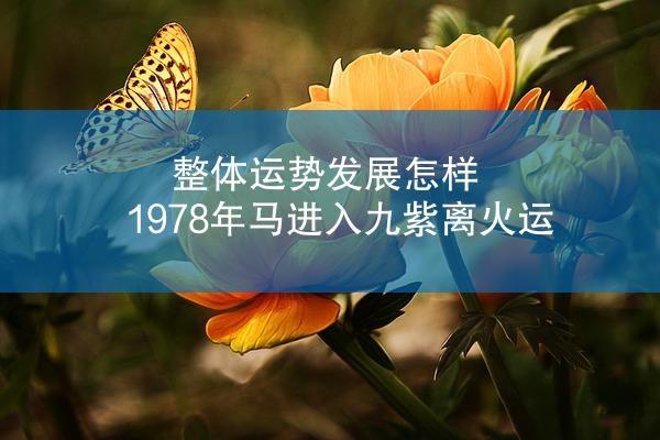 整体运势发展怎样 1978年马进入九紫离火运