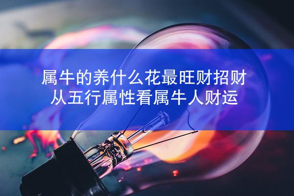 属牛的养什么花最旺财招财 从五行属性看属牛人财运