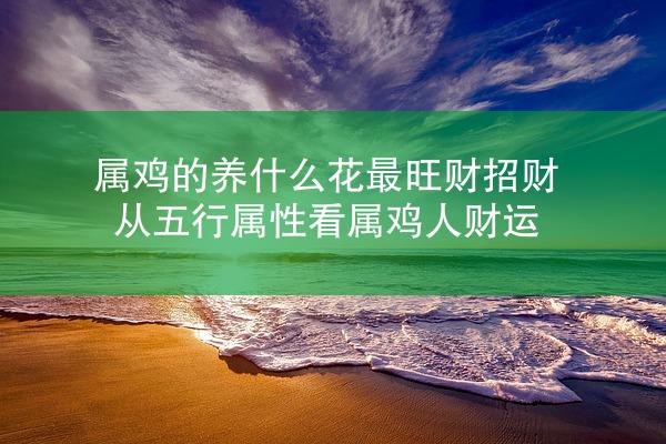 属鸡的养什么花最旺财招财 从五行属性看属鸡人财运