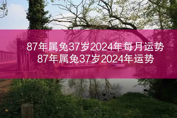 87年属兔37岁2024年每月运势 87年属兔37岁2024年运势