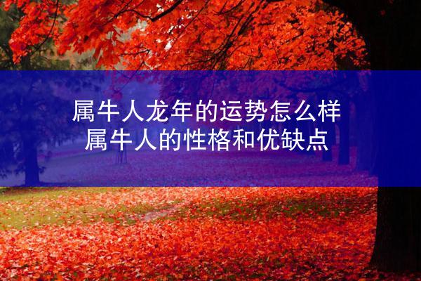 属牛人龙年的运势怎么样 属牛人的性格和优缺点