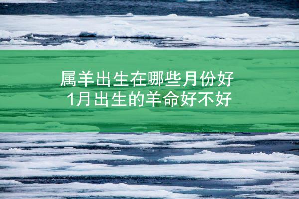 属羊出生在哪些月份好 1月出生的羊命好不好