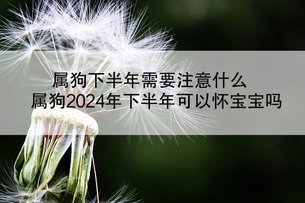 属狗下半年需要注意什么 属狗2024年下半年可以怀宝宝吗