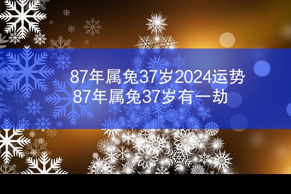 87年属兔37岁2024运势 87年属兔37岁有一劫