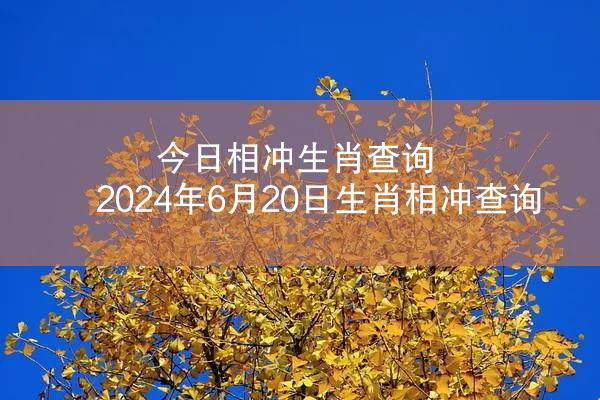 今日相冲生肖查询 2024年6月20日生肖相冲查询