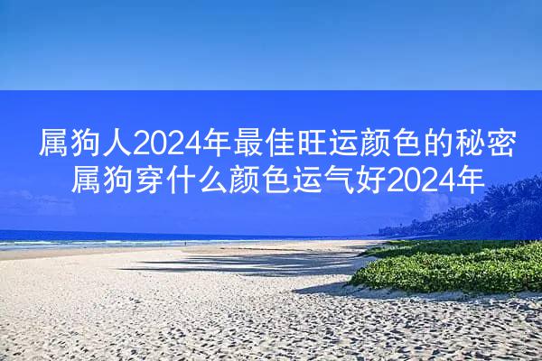 属狗人2024年最佳旺运颜色的秘密 属狗穿什么颜色运气好2024年