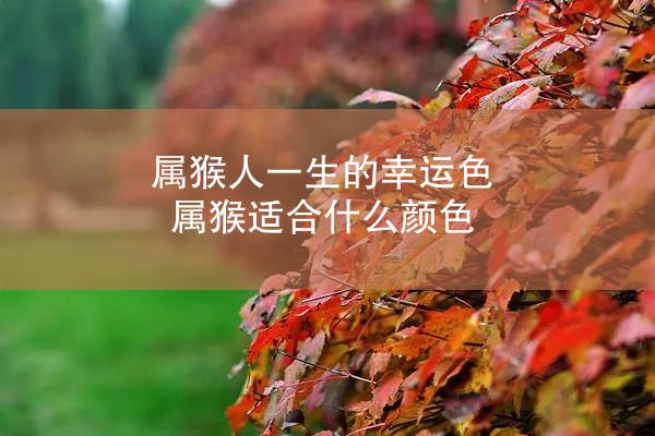 属猴人一生的幸运色 属猴适合什么颜色