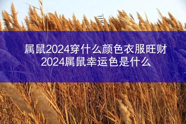 属鼠2024穿什么颜色衣服旺财 2024属鼠幸运色是什么