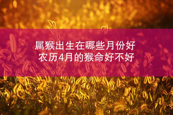 属猴出生在哪些月份好 农历4月的猴命好不好