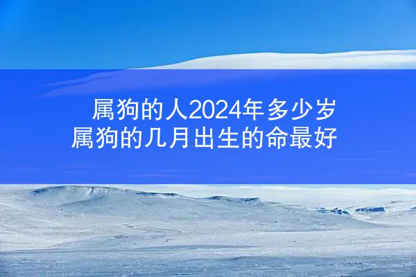 属狗的人2024年多少岁 属狗的几月出生的命最好