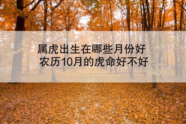 属虎出生在哪些月份好 农历10月的虎命好不好