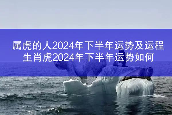 属虎的人2024年下半年运势及运程 生肖虎2024年下半年运势如何