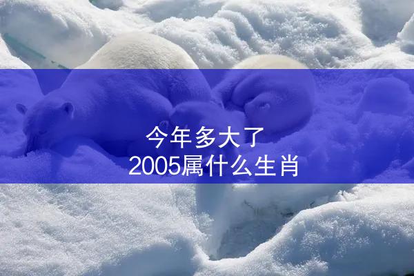 今年多大了 2005属什么生肖