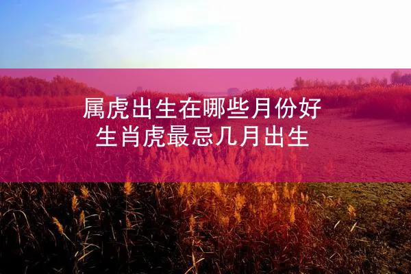 属虎出生在哪些月份好 生肖虎最忌几月出生