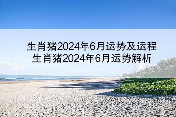 生肖猪2024年6月运势及运程 生肖猪2024年6月运势解析