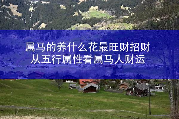 属马的养什么花最旺财招财 从五行属性看属马人财运