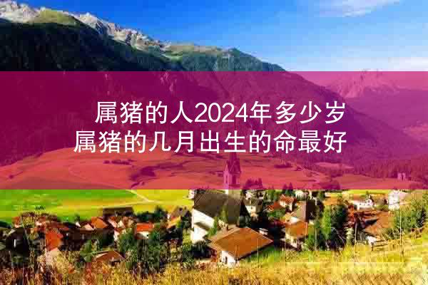 属猪的人2024年多少岁 属猪的几月出生的命最好
