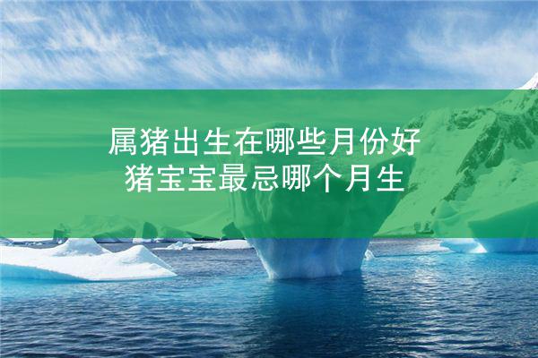 属猪出生在哪些月份好 猪宝宝最忌哪个月生