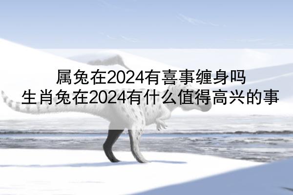 属兔在2024有喜事缠身吗 生肖兔在2024有什么值得高兴的事