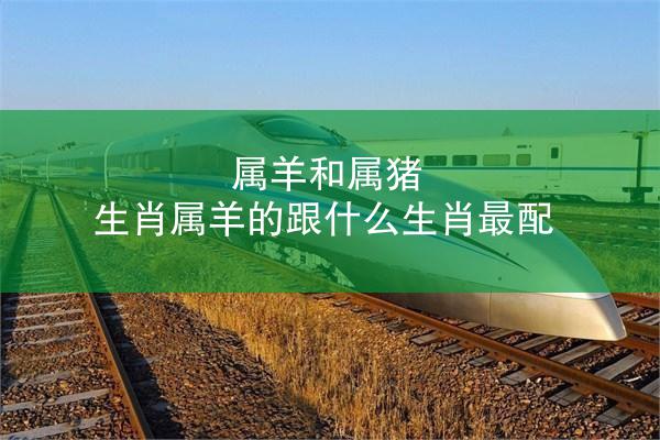 属羊和属猪 生肖属羊的跟什么生肖最配