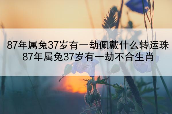 87年属兔37岁有一劫佩戴什么转运珠 87年属兔37岁有一劫不合生肖