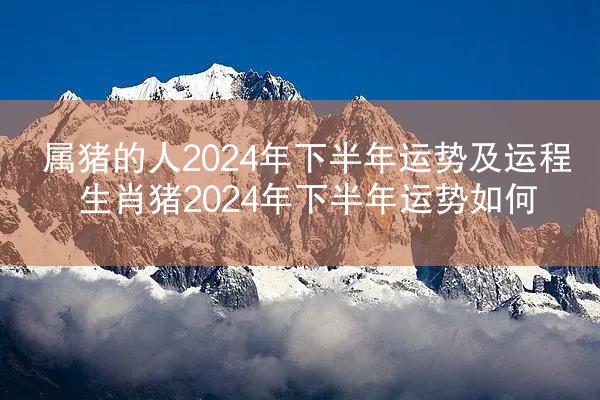 属猪的人2024年下半年运势及运程 生肖猪2024年下半年运势如何