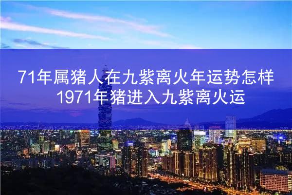 71年属猪人在九紫离火年运势怎样 1971年猪进入九紫离火运