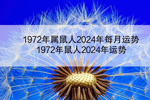 1972年属鼠人2024年每月运势 1972年鼠人2024年运势