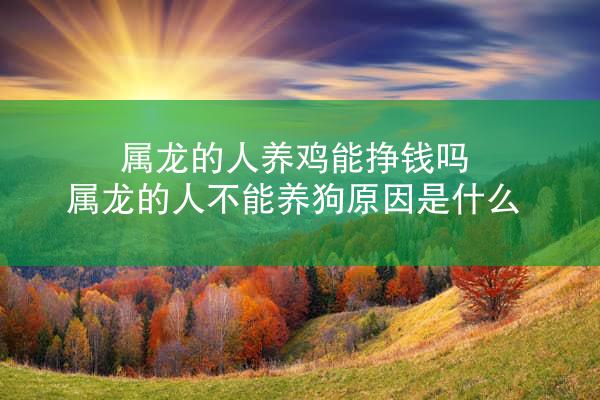 属龙的人养鸡能挣钱吗 属龙的人不能养狗原因是什么