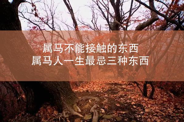 属马不能接触的东西 属马人一生最忌三种东西